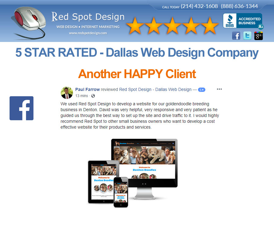 5 Star Website Design Review from Denton Doodles