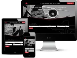 Aviation company website design for thunderbird airways copy