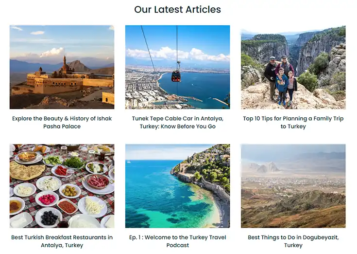 Website Blog or News Sections example2