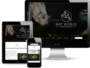 bat word wordpress web design