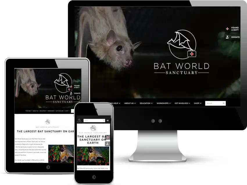 bat world sanctuary wordpress web design