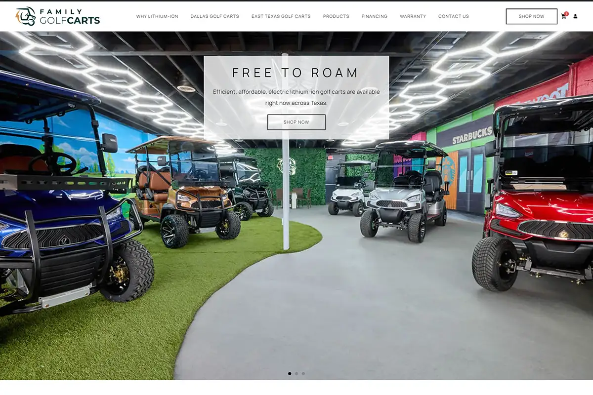 custom web design for dallas texas based family golf carts