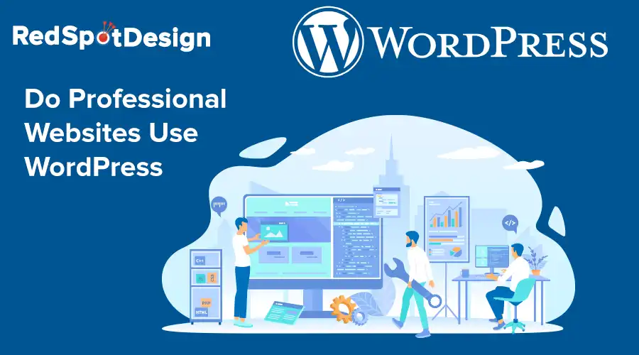 Do professional websites use wordpress red spot design