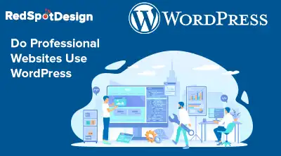 do professional websites use wordpress2