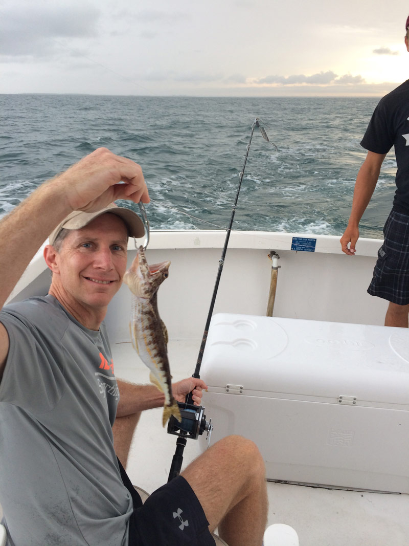 lizard fish clearwater beach